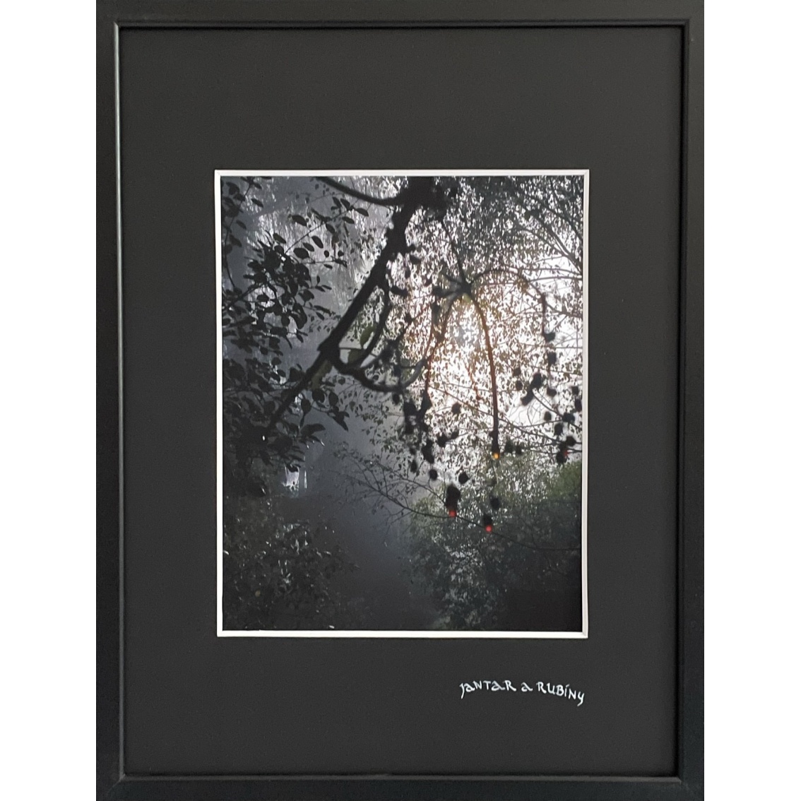 Jantar a rubíny - upravená fotografie